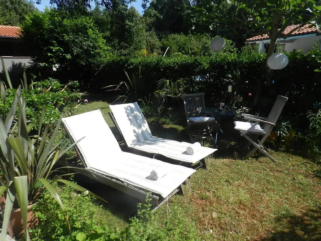 Apartments Lodra Pula