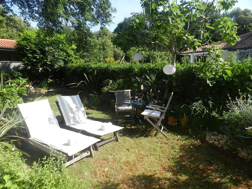 Apartments Lodra Pula