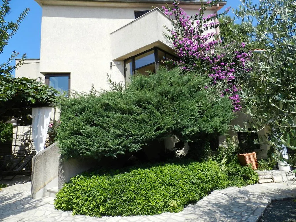 Apartments Lodra Pula 0*,